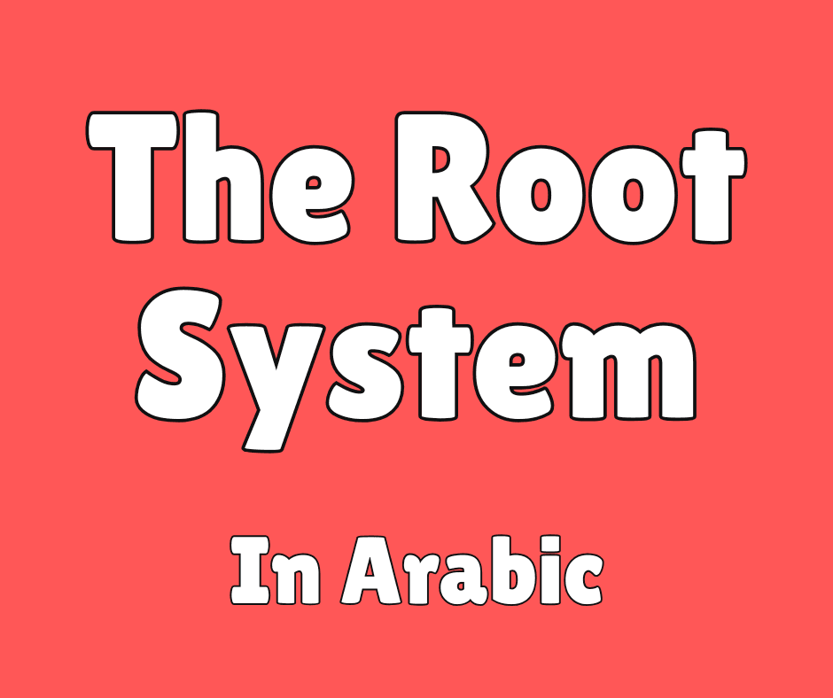 The root system in Arabic language